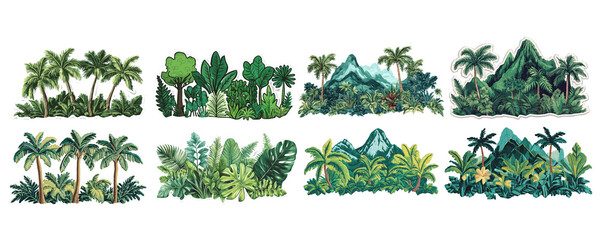 Sunlight in Tropical Jungle