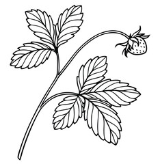 vector illustration of a branch with leaves