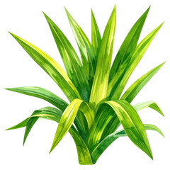 Obraz premium Vibrant Green Leaves of a Tropical Plant in Watercolor Style, Ideal for Nature Themes and Botanical Illustrations