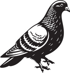 Fototapeta premium Pigeon Bird Black Silhouette Vector, Urban Wildlife Clipart & Flying Bird Design