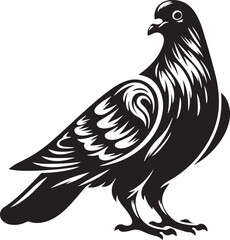 Obraz premium Pigeon Bird Black Silhouette Vector, Urban Wildlife Clipart & Flying Bird Design