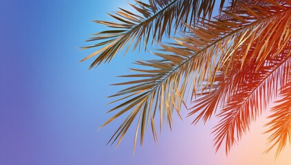 Palm leaves against a vibrant sunset sky.