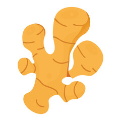 Fresh Ginger Root Illustration Isolated on White Background