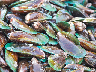Fresh mussels at the market