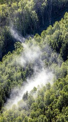 A thin layer of misty white vapor floating delicately across a vivid green background, adding a sense of tranquility and balance to the scene.