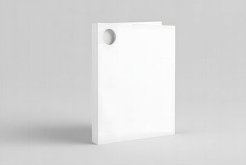 Minimalist Document Envelope for Branding Presentation