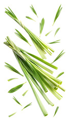 Flying Fresh Green Lemongrass Leaves in Motion isolated on transparent white background, clipping path