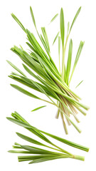Obraz premium Flying Fresh Green Lemongrass Leaves in Motion isolated on transparent white background, clipping path