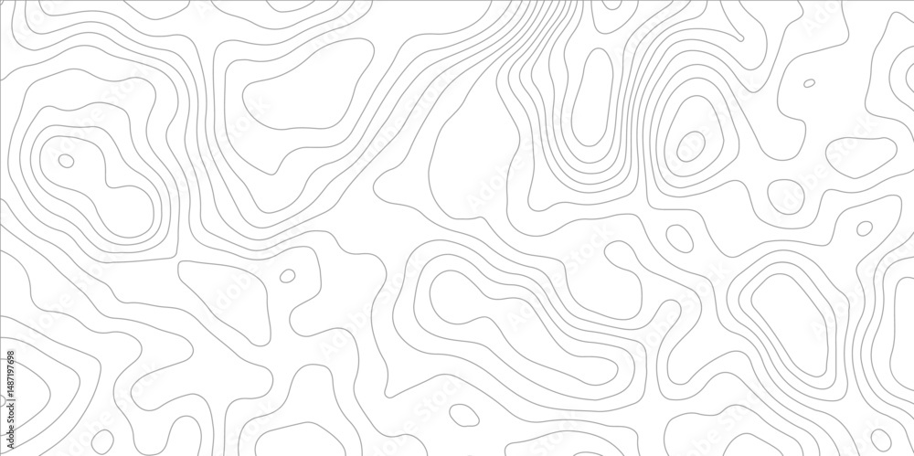 Poster modern topographic abstract white surface with gray wave lines forming organic shapes, creating a mi