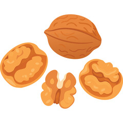 Walnuts Illustration Healthy Food Ingredient Vegetarian Vegan Nutrition