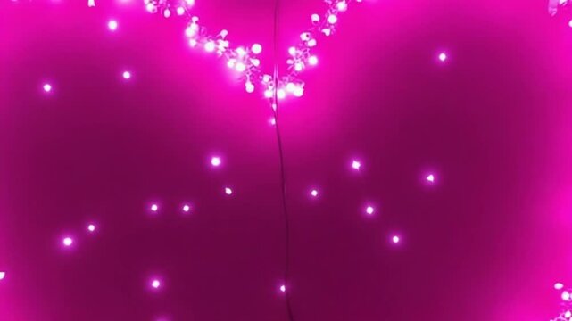 Pink Heart Led Tunnel with Star Particles