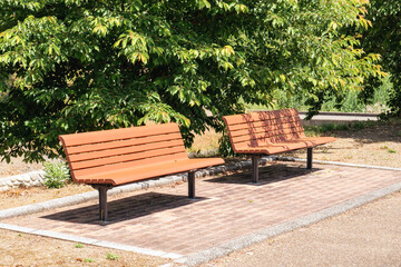 Fototapeta premium 緑の木陰に佇むオレンジの公園用ベンチ二脚