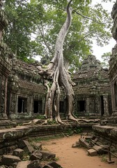 Ancient Temple Ruins Enveloped by Lush Tree Roots: A Serene, Mystical Scene