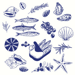 Mediterranean Vintage Food & Sea Elements Illustration Set