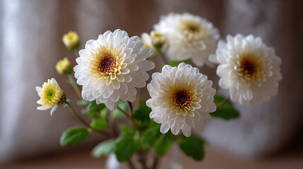 Delicate white petals surround unique centers