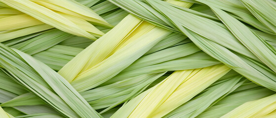 Fototapeta premium Closeup View Of Textured Green And Yellow Leaves
