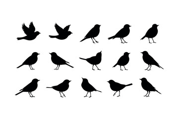 bird silhouette perched tree branch