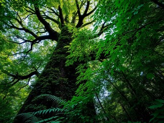 Naklejka premium Dense Foliage on a Majestic Tree