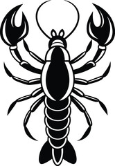 scorpion isolated on white