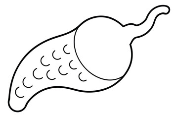 Gallbladder Pain Illustration Line art