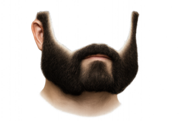 Bearded man with a friendly smile isolated on transparent background.