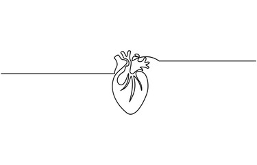 Single continuous line art anatomical human heart silhouette. Healthy medicine concept design,  one sketch outline drawing vector illustration, Human heart one line colored continuous drawing