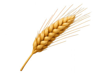 A detailed illustration of a wheat stalk with multiple grains, green leaves, and a brown stem, isolated on a transparent background.