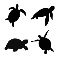 black and white turtle silhouette image