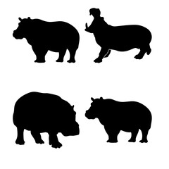 black and white hippo silhouette image