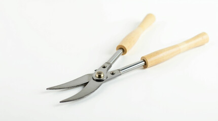 Hedge Shears with Wooden Handles