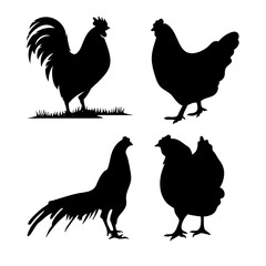 black and white chicken silhouette image