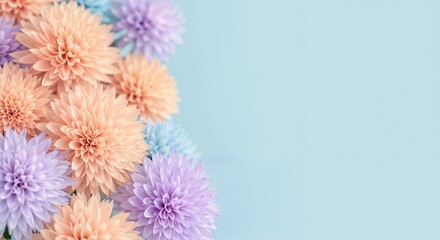 Colorful flowers arranged on blue background for decoration  
