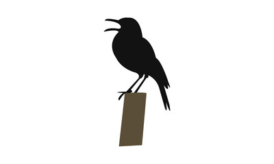 Agulhas long billed lark bird Silhouette Design  And Vector Illustration. 