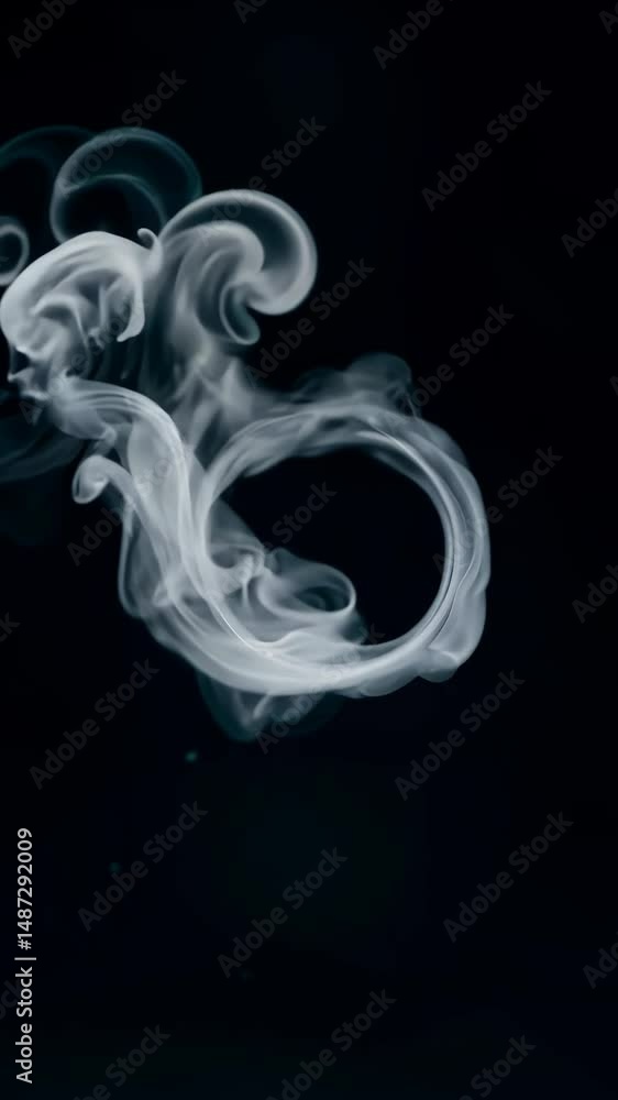 Poster a white ring is suspended in the air, surrounded by a cloud of smoke. the smoke is a mixture of whit