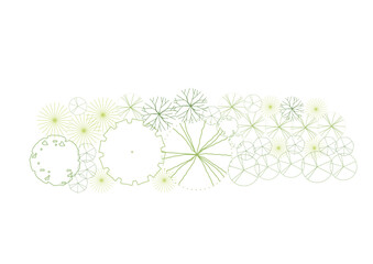 tree top view plant landscape architecture nature garden aerial vector. trees branch isolate collection illustration environment green botany urban bush park. tree architecture conifer decorative.