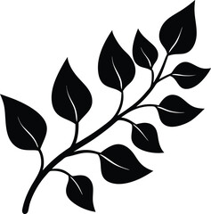 black and white leaves