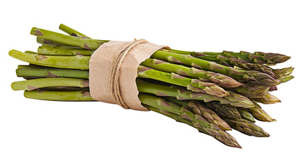 Harvesting fresh asparagus farm field food photography natural setting close-up organic nutrition