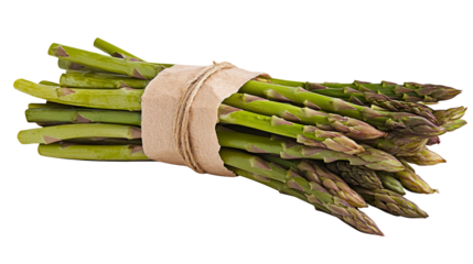 Harvesting fresh asparagus farm field food photography natural setting close-up organic nutrition