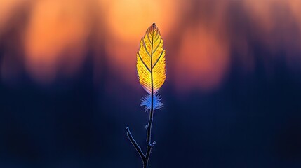 A backlit leaf is displayed against a soft colorful background