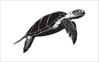 Obraz premium sea turtle vector illustration. turtle, tribal, vector, ocean, marine, illustration, graphic, aquatic, artwork, silhouette