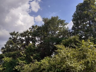 Countryside road view in Thailand