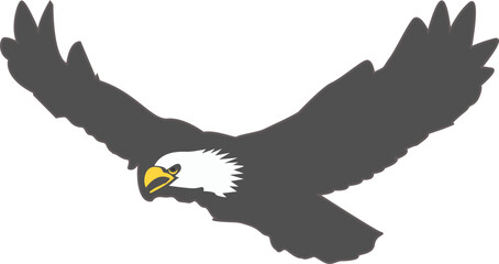 eagle on white background