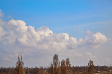 Bright altocumulus clouds in the blue sky above an autumn landscape with leafless trees in early autumn, featuring beautiful altocumulus clouds in the sky above the earth.