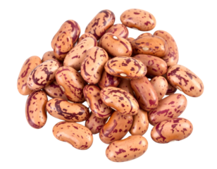 Pile of pinto beans isolated on transparent background