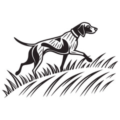 Obraz premium Elegant pointer dog running through tall grass