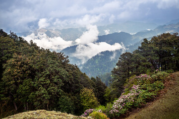 Mountain landscape with blue sky and clouds. Himalayan Mountain landscapes are a favourite for hikers and nature enthusiasts alike, such as the Shoja Jalori Pass Raghupur Fort, Himachal Pradesh, India