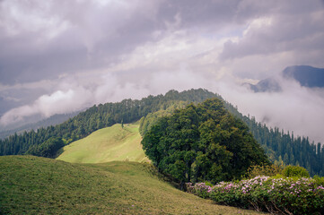 Landscape in the mountains. Himalayan Mountain landscapes are a favourite for hikers and nature enthusiasts alike, such as the Shoja Jalori Pass Raghupur Fort, Himachal Pradesh, India.

