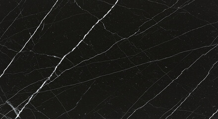 A dark surface with white veins running across it creating a textured and patterned appearance like marble