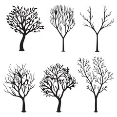 Obraz premium Winter Trees with Dense and Sparse Foliage Patterns