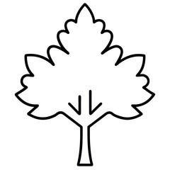 Maple Tree Outline Vector – Thin Line Drawing with Distinctive Leaf Shape